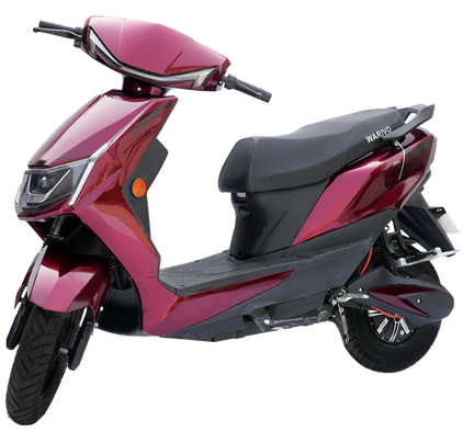 edgemaroon6
